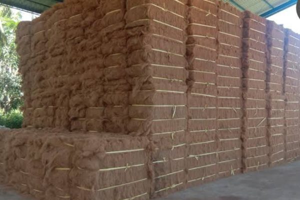 8d2842fc-de87-4286-aa8c-55e783dc63ed