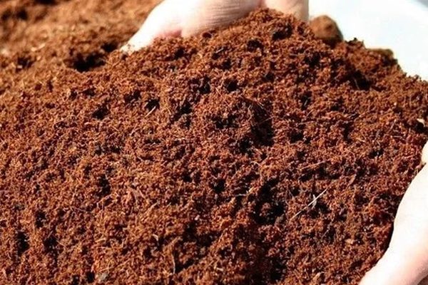 Кокосовый-блок-питательная-почва-для-растений2